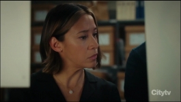 Hudson and Rex - Season 06 Episode 12